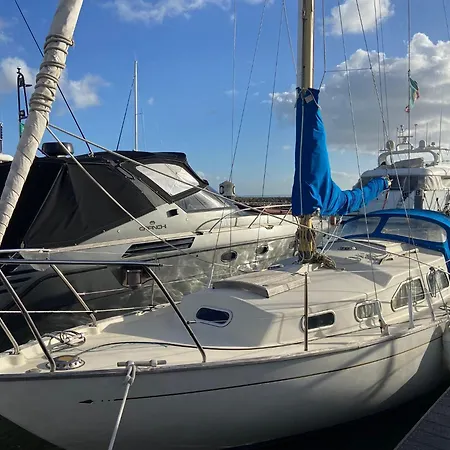 Barco Expo C49 *